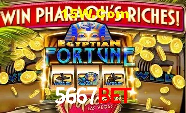 Experiência VIP 5667Bet